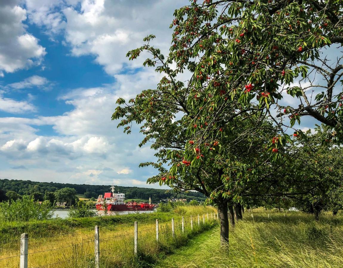 Maison Normande Au Bord De Seine, Le Verger De Pacome Anneville-Ambourville Eksteriør bilde