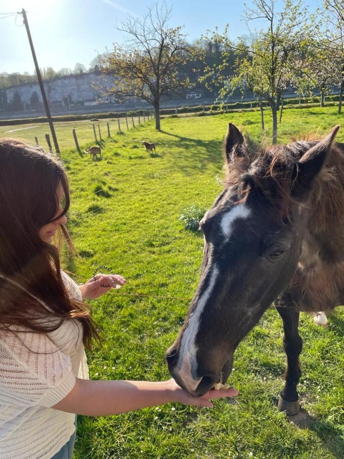 Maison Normande Au Bord De Seine, Le Verger De Pacome Anneville-Ambourville Eksteriør bilde